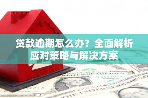 疏附贷款逾期怎么办？全面解析应对策略与解决方案