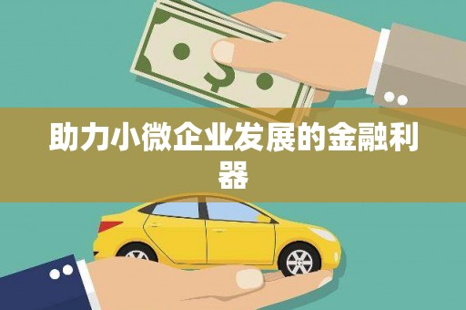 疏附助力小微企业发展的金融利器