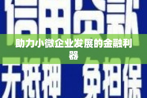 疏附助力小微企业发展的金融利器