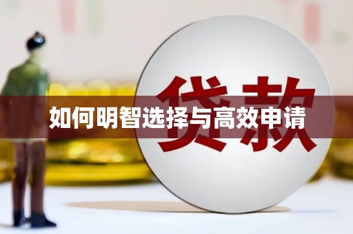 疏附如何明智选择与高效申请