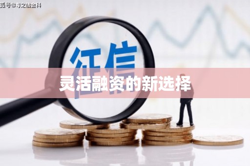 疏附灵活融资的新选择