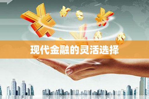 疏附现代金融的灵活选择