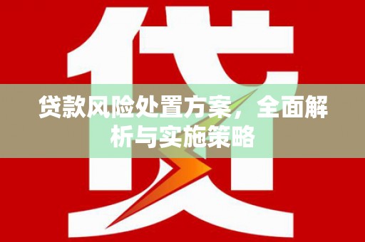 疏附贷款风险处置方案，全面解析与实施策略