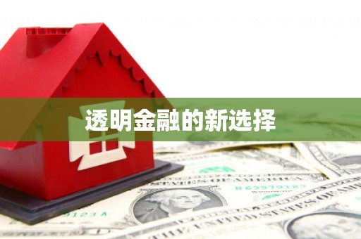 疏附透明金融的新选择