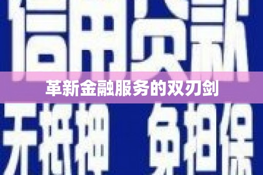 疏附革新金融服务的双刃剑