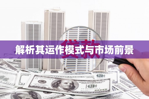 疏附解析其运作模式与市场前景