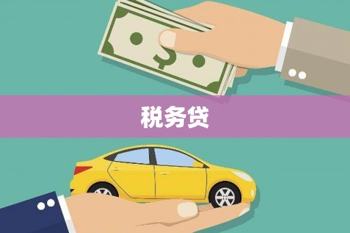 疏附税务贷