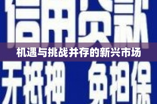 疏附机遇与挑战并存的新兴市场