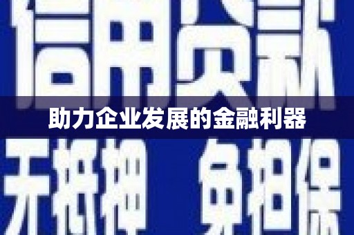 疏附助力企业发展的金融利器
