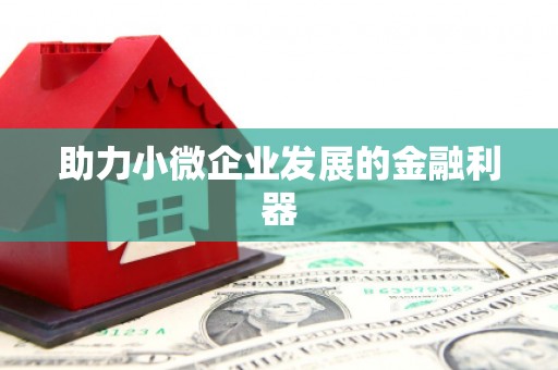 疏附助力小微企业发展的金融利器