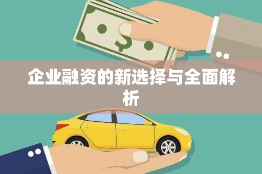 疏附企业融资的新选择与全面解析