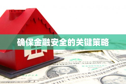 疏附确保金融安全的关键策略