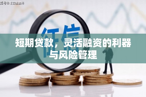 疏附短期贷款，灵活融资的利器与风险管理