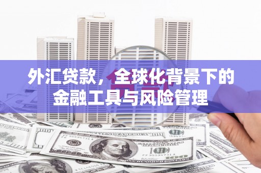 疏附外汇贷款，全球化背景下的金融工具与风险管理